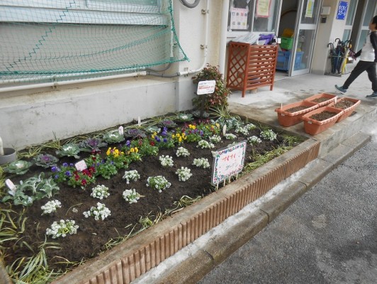 花植え